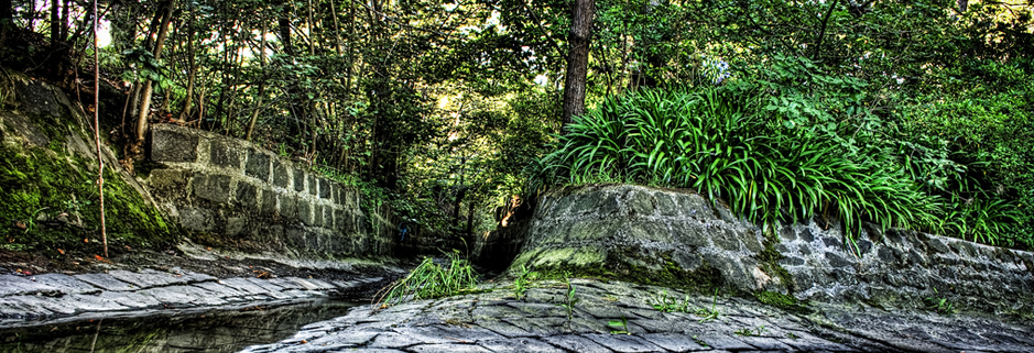 在线永久免费轰炸电话